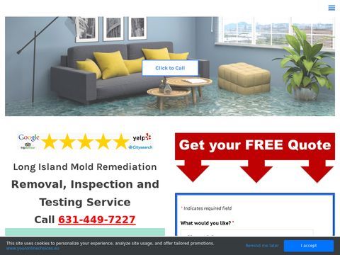 My Long Island Mold Removal