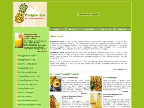 Pineapple India