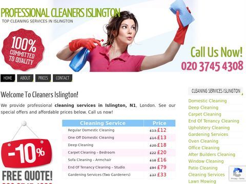 Professional Cleaners Islington