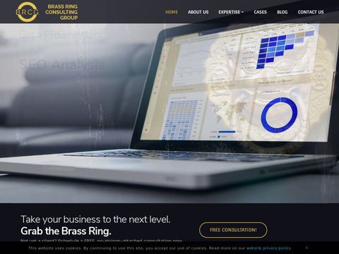 Brass Ring Consulting Group
