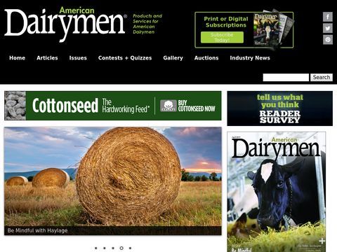 American Dairymen - Dairy Cattle and farms