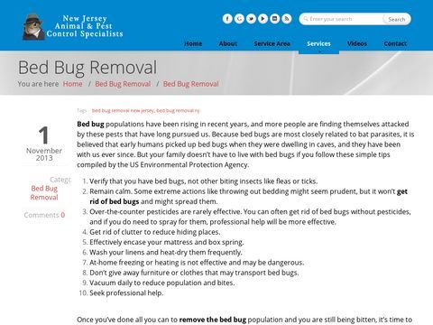 Reliable Bed Bug Removal Service NJ