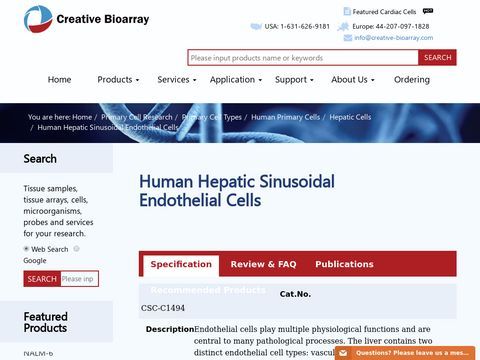 Human Hepatic Sinusoidal Endothelial Cells