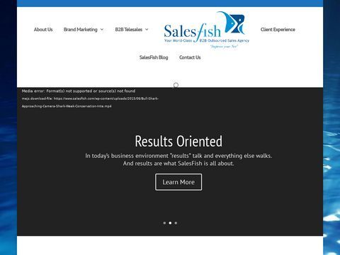 SalesFish 