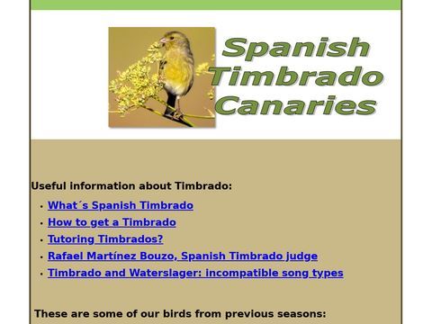 Spanish Timbrado Canaries