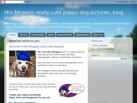 Mrs Meggins cute pet dog blog, pictures, videos and stories