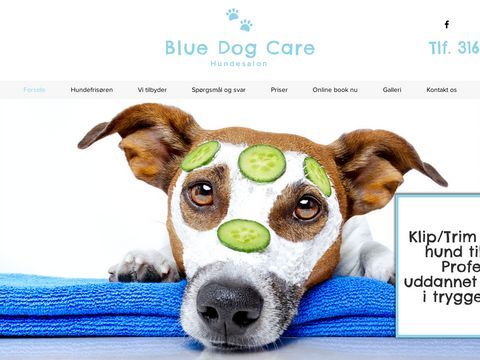 Hundesalon Blue Dog Care