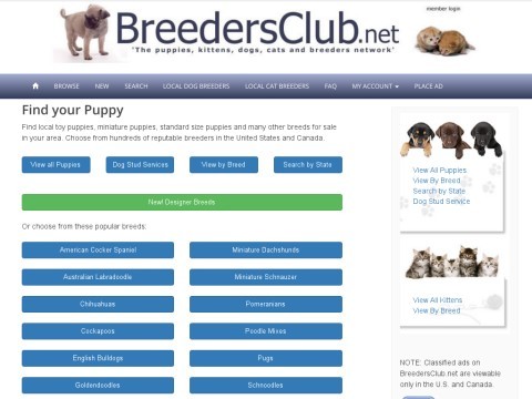 Local Puppies for sale, small dogs for sale, Dog Breeders, Cats & Kittens For Sale